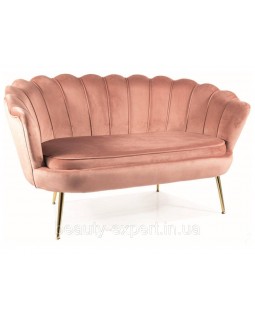 Диван 2-місний Camellia 2 Velvet на золотих ніжках Стильна м'яка софа у формі мушлі Диван 2-місний Camellia 2 Velvet на золотих ніжках Стильна м'яка софа у формі мушлі