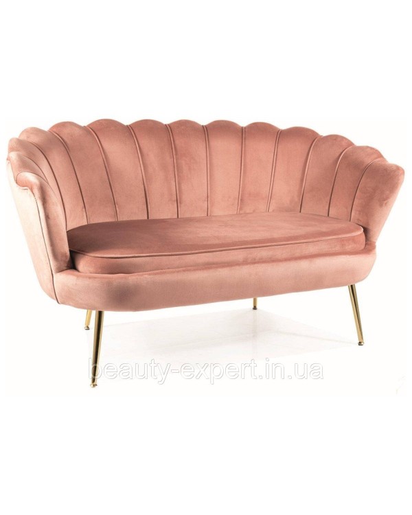 Диван 2-місний Camellia 2 Velvet на золотих ніжках Стильна м'яка софа у формі мушлі Диван 2-місний Camellia 2 Velvet на золотих ніжках Стильна м'яка софа у формі мушлі