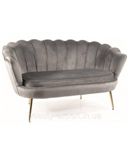 Софа CAMELLIA 2 VELVET комфортний двомісний диван на золотих ніжках для зони очікування Софа CAMELLIA 2 VELVET комфортний двомісний диван на золотих ніжках для зони очікування