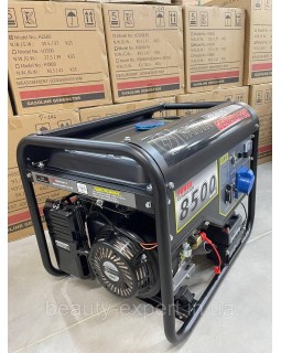 Генератор ДВУХТОПЛИВНИЙ 8-8,5 кВт 1-фазний TANTA H9500LPG: газобензиновий генератор з функцією автозапуску-foto2