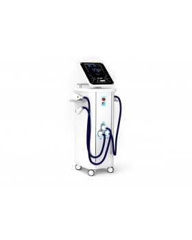 Фотоэпилятор и аппарат фотоомоложения IP-300 AlviPrague-foto2