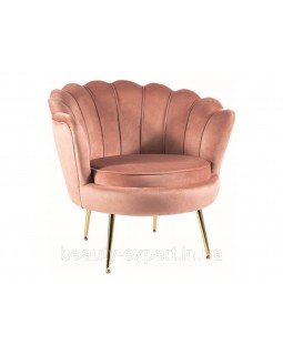Крісло з оригінальною спинкою CAMELLIA 1 VELVET BL.52 золоті ніжки для лаунж-зони кабінету фотозони Крісло з оригінальною спинкою CAMELLIA 1 VELVET BL.52 золоті ніжки для лаунж-зони кабінету фотозони