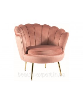 Крісло з оригінальною спинкою CAMELLIA 1 VELVET BL.52 золоті ніжки для лаунж-зони кабінету фотозони Крісло з оригінальною спинкою CAMELLIA 1 VELVET BL.52 золоті ніжки для лаунж-зони кабінету фотозони