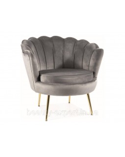 Дизайнерське крісло CAMELLIA 1 VELVET BL.14 із ніжками золотого кольору для вітальні кабінету Дизайнерське крісло CAMELLIA 1 VELVET BL.14 із ніжками золотого кольору для вітальні кабінету