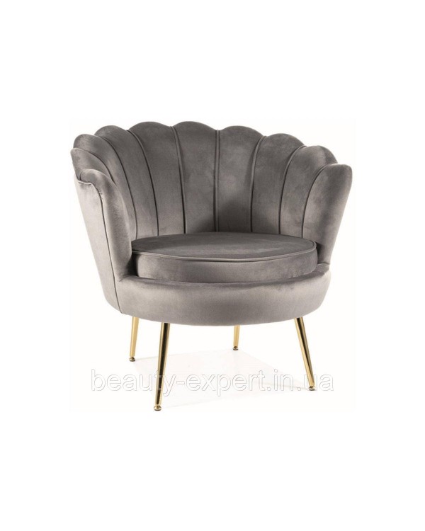 Дизайнерське крісло CAMELLIA 1 VELVET BL.14 із ніжками золотого кольору для вітальні кабінету Дизайнерське крісло CAMELLIA 1 VELVET BL.14 із ніжками золотого кольору для вітальні кабінету