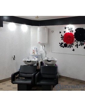 Мийка перукарня Cheap Flamingo невелика і зручна китай-foto2