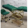 Комплект Lashmaker 3 в 1 меблі для нарощування вій: анатомічна кушетка, стільчик майстра візок BR_L