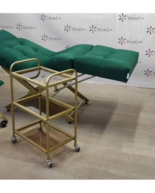 Комплект Lashmaker 3 в 1 меблі для нарощування вій: анатомічна кушетка, стільчик майстра візок BR_L