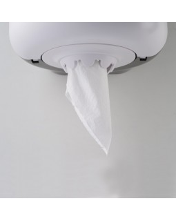 Диспенсер бумажных полотенец Rixo Maggio P040W-foto7