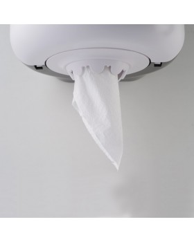 Диспенсер бумажных полотенец Rixo Maggio P040W-foto7