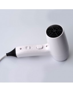 Фен для сушки волос настенный Rixo Maggio F30W-foto4